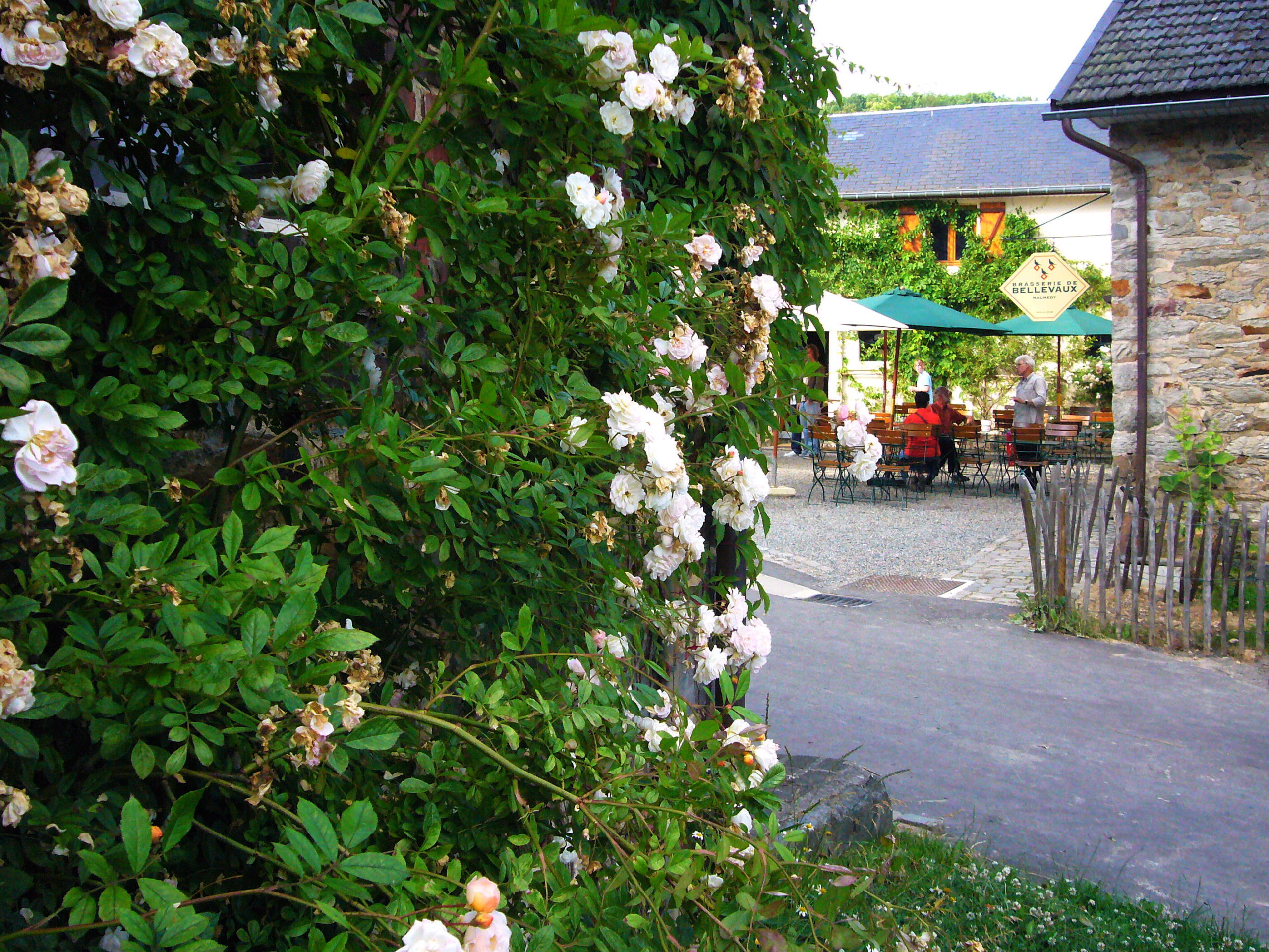Image (Fr) Forfait Terroir