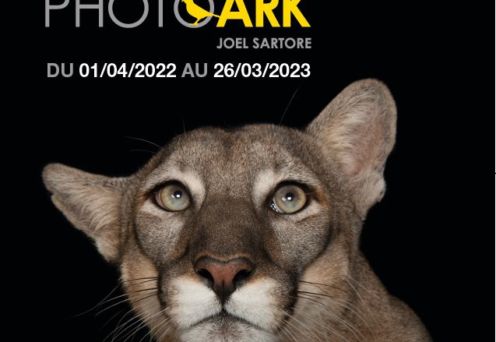Image Tijdelijke tentoonstelling